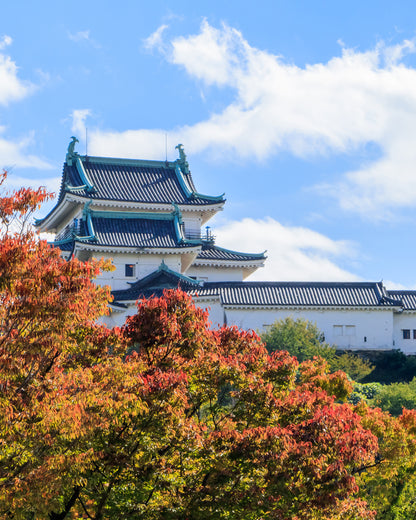 【紅葉と紀州漆器の饗宴】 和歌山城天守閣で伝統工芸士から学ぶ歴史と技術体験 身近で使う本物の「MY本拭き漆椀作り」