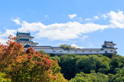 【紅葉と紀州漆器の饗宴】 和歌山城天守閣で伝統工芸士から学ぶ歴史と技術体験 身近で使う本物の「MY本拭き漆椀作り」